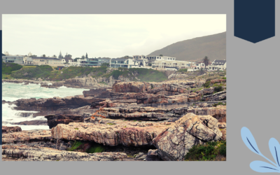 Exploring Hermanus (The Quaint Little Town Outskirts Cape Town)